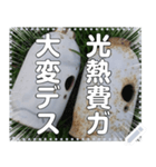 ガスボンベのふた☆古代ロボ風（個別スタンプ：8）