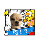 ヤバい犬（個別スタンプ：2）