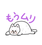 まんまるにこにこ猫ちゃん（個別スタンプ：5）