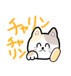 まんまるにこにこ猫ちゃん（個別スタンプ：12）