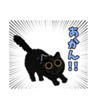 関西弁★黒猫ちゃん（個別スタンプ：14）