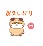 着ぐるみハチワレねこ（個別スタンプ：7）