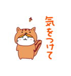 着ぐるみハチワレねこ（個別スタンプ：12）