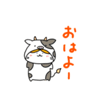 着ぐるみハチワレねこ（個別スタンプ：14）