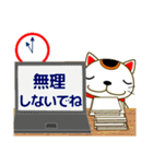 【敬語】大人の優しい気づかい 日常 招き猫（個別スタンプ：8）