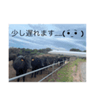 ながしまゆきスタンプ♡vol.1（個別スタンプ：14）