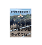 ながしまゆきスタンプ♡vol.1（個別スタンプ：16）