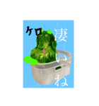 わんずfriendsz（個別スタンプ：2）