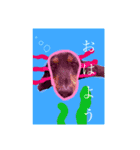 わんずfriendsz（個別スタンプ：10）