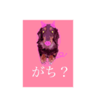 わんずfriendsz（個別スタンプ：13）