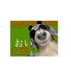 わんずfriendsz（個別スタンプ：14）