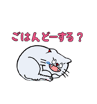 猫の伝言40ヶ（個別スタンプ：4）