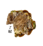 お好み焼き食べたい人（個別スタンプ：5）