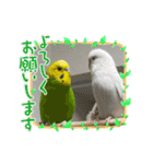 ゆきちゃん宅スタンプ35（個別スタンプ：8）