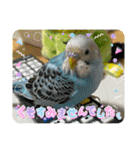 ゆきちゃん宅スタンプ35（個別スタンプ：12）