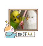ゆきちゃん宅スタンプ35（個別スタンプ：19）