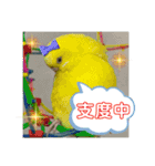ゆきちゃん宅スタンプ35（個別スタンプ：20）