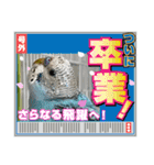 ゆきちゃん宅スタンプ35（個別スタンプ：22）