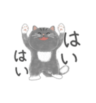 よかっちゃ福岡かわいい猫スタンプ（個別スタンプ：6）