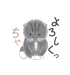 よかっちゃ福岡かわいい猫スタンプ（個別スタンプ：8）