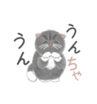 よかっちゃ福岡かわいい猫スタンプ（個別スタンプ：9）