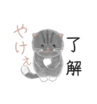 よかっちゃ福岡かわいい猫スタンプ（個別スタンプ：10）