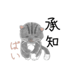よかっちゃ福岡かわいい猫スタンプ（個別スタンプ：11）