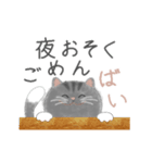 よかっちゃ福岡かわいい猫スタンプ（個別スタンプ：15）