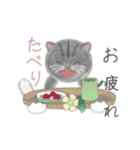 よかっちゃ福岡かわいい猫スタンプ（個別スタンプ：16）