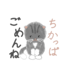 よかっちゃ福岡かわいい猫スタンプ（個別スタンプ：19）