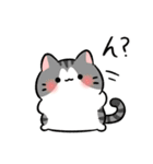 もちふわ ねこ（個別スタンプ：23）