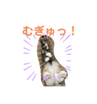 えり姫の日常①（個別スタンプ：4）