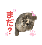 えり姫の日常①（個別スタンプ：6）