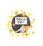 柴犬ガロ日常パート2（個別スタンプ：12）