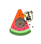 沙祈ちゃん日和（個別スタンプ：24）