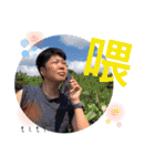 ちわわのきのこ_大好きおねえちゃん（個別スタンプ：31）
