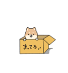 わんわんスタンプ 【柴犬】（個別スタンプ：32）