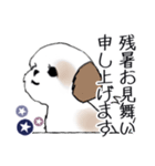 Stickers_Shih Tzu_i シーズースタンプ夏（個別スタンプ：2）