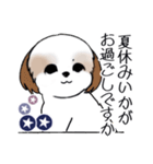 Stickers_Shih Tzu_i シーズースタンプ夏（個別スタンプ：3）