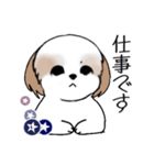 Stickers_Shih Tzu_i シーズースタンプ夏（個別スタンプ：6）