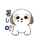 Stickers_Shih Tzu_i シーズースタンプ夏（個別スタンプ：12）