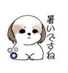 Stickers_Shih Tzu_i シーズースタンプ夏（個別スタンプ：13）