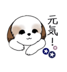 Stickers_Shih Tzu_i シーズースタンプ夏（個別スタンプ：15）