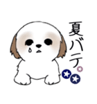 Stickers_Shih Tzu_i シーズースタンプ夏（個別スタンプ：16）