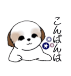 Stickers_Shih Tzu_i シーズースタンプ夏（個別スタンプ：23）