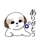 Stickers_Shih Tzu_i シーズースタンプ夏（個別スタンプ：25）