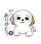 Stickers_Shih Tzu_i シーズースタンプ夏（個別スタンプ：26）