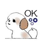 Stickers_Shih Tzu_i シーズースタンプ夏（個別スタンプ：27）