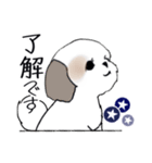 Stickers_Shih Tzu_i シーズースタンプ夏（個別スタンプ：28）