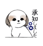 Stickers_Shih Tzu_i シーズースタンプ夏（個別スタンプ：30）